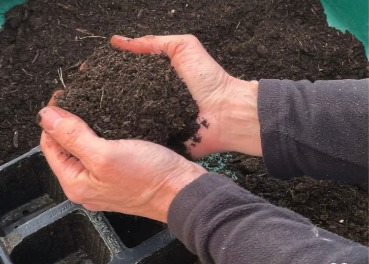 Why should I compost? – Great Green Systems Ltd