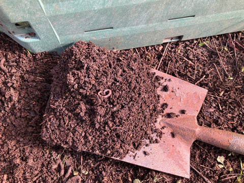 Leaf mould turns autumn leaves into garden gold