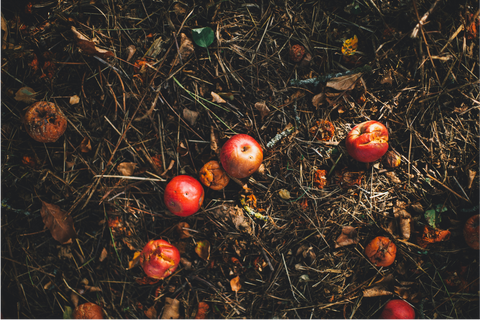 What are Browns and Greens in composting?