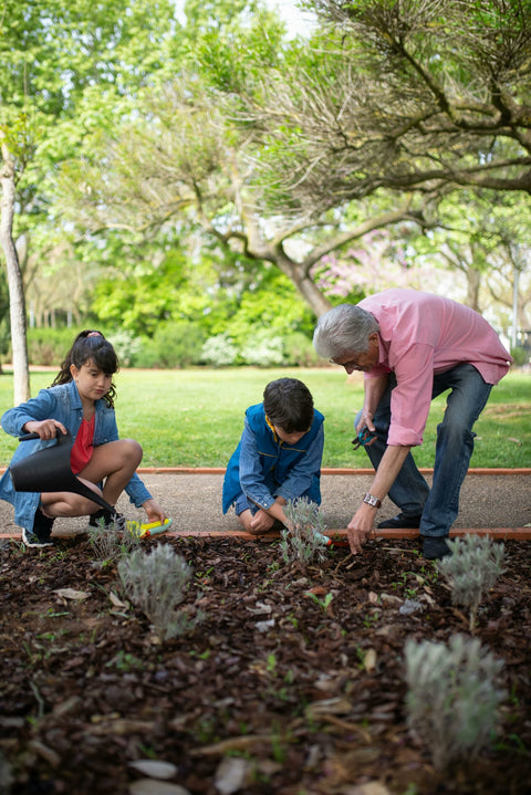 Compost School - a guide for absolute beginners