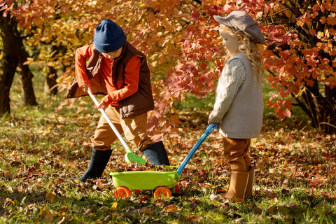 Seven great reasons to compost in autumn